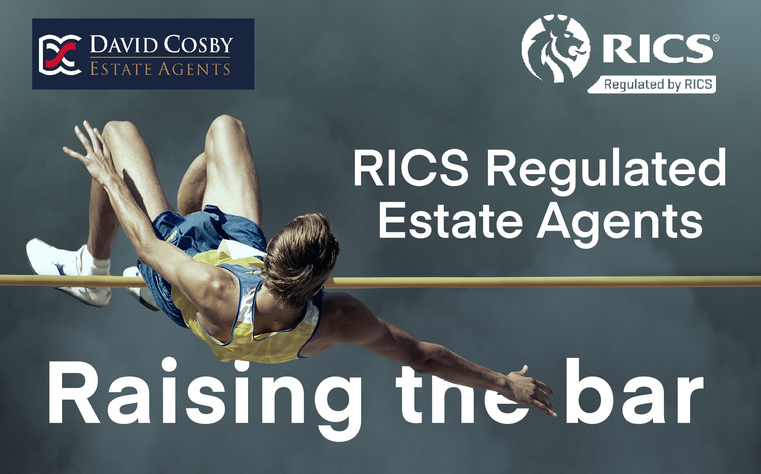 RICS Estate Agents David Cosby