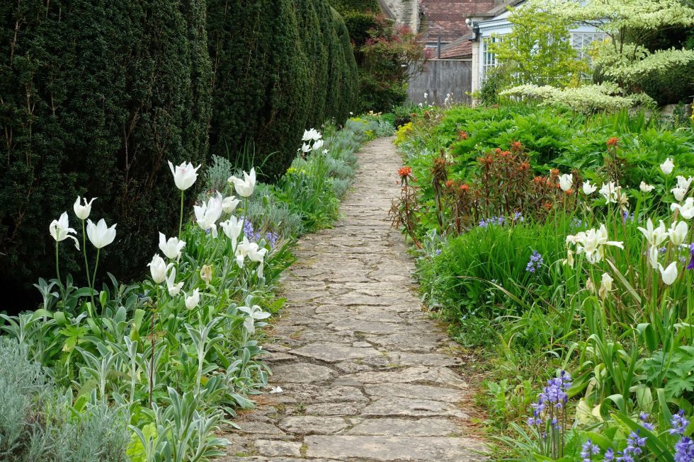 Estate Agency David Cosby Property Sales & Lettings Experts